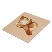 Schets van de schelp van de kegel - bruin, wit en  tegeltje (Zijkant)