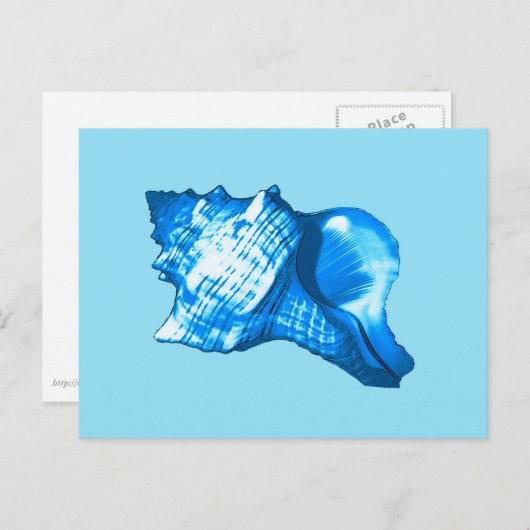 Schets van de schelp van de kegel - kobalt en sky briefkaart (Voorkant / Achterkant)