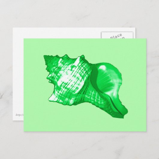 Schets van de schelp van de kegel - smaragd en kal briefkaart (Voorkant / Achterkant)