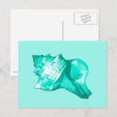 Schets van de schelp van de kegel - turquoise, wit briefkaart (Voorkant / Achterkant)