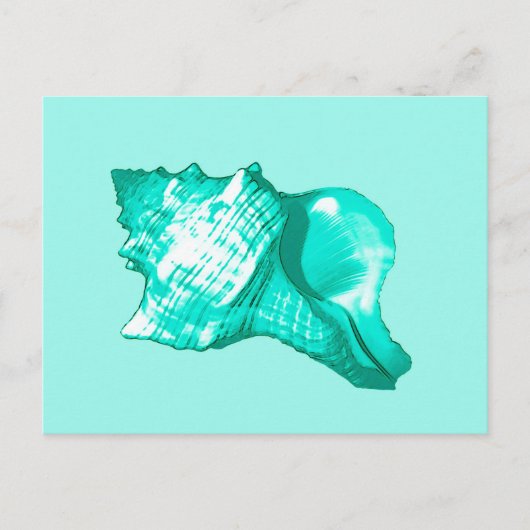 Schets van de schelp van de kegel - turquoise, wit briefkaart (Voorkant)