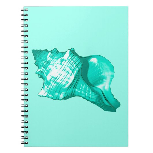 Schets van de schelp van de kegel - turquoise, wit notitieboek (Voorkant)