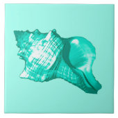 Schets van de schelp van de kegel - turquoise, wit tegeltje (Voorkant)
