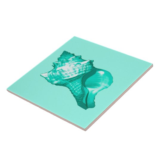 Schets van de schelp van de kegel - turquoise, wit tegeltje (Zijkant)