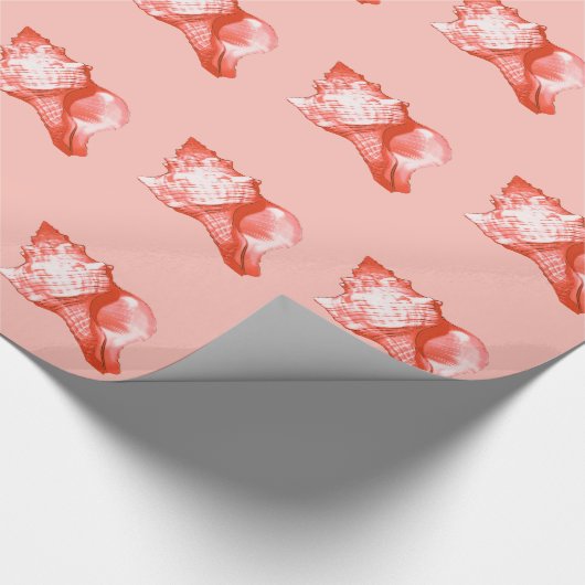 Schets van de schelp van de sluiting - koraal, roz cadeaupapier (Hoek)