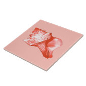 Schets van de schelp van de sluiting - koraal, roz tegeltje (Zijkant)