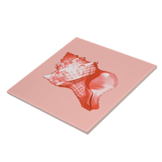 Schets van de schelp van de sluiting - koraal, roz tegeltje (Zijkant)