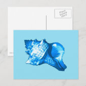 Schets van een conchschelp - kobalt en hemelsblauw briefkaart (Voorkant / Achterkant)
