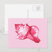 Schets van een horenschelp - fuchsia roze en wit briefkaart (Voorkant / Achterkant)