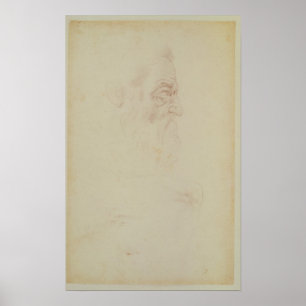 Schets van een mannelijk hoofd en twee poten poster