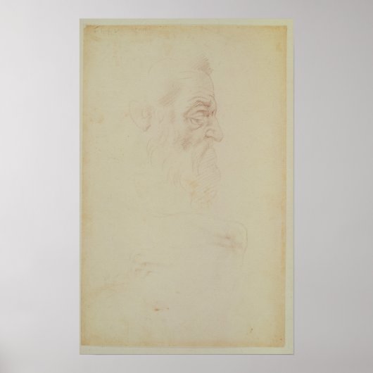 Schets van een mannelijk hoofd en twee poten poster (Voorkant)