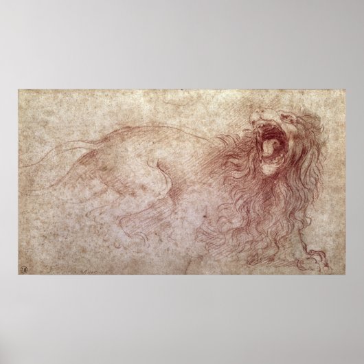 Schets van een opgewonden leeuw poster (Voorkant)