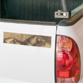 Schets van een Pony (door Paul-Albert Besnard) Bumpersticker (Op Truck)