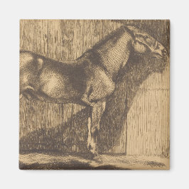 Schets van een Pony (door Paul-Albert Besnard) Magneet