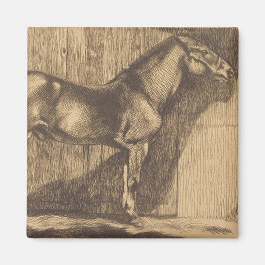 Schets van een Pony (door Paul-Albert Besnard) Magneet (Voorkant)