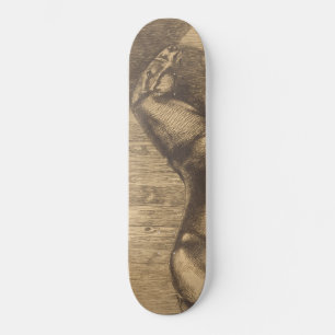 Schets van een Pony (door Paul-Albert Besnard) Persoonlijk Skateboard