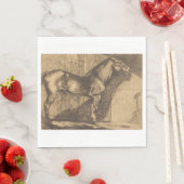 Schets van een Pony (door Paul-Albert Besnard) Servet (Insitu)