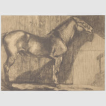 Schets van een Pony (door Paul-Albert Besnard)