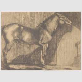 Schets van een Pony (door Paul-Albert Besnard) Tissuepapier