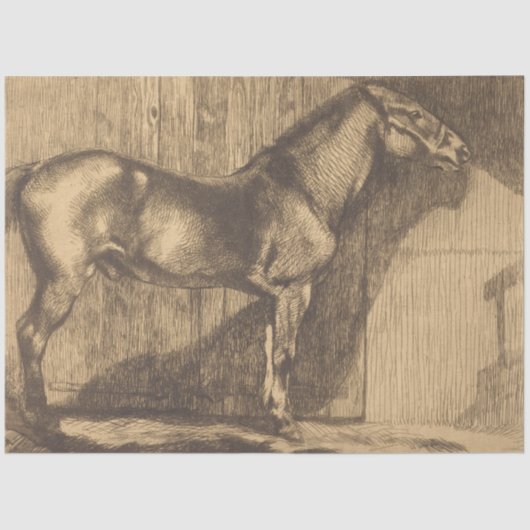 Schets van een Pony (door Paul-Albert Besnard) Tissuepapier (Voorkant)