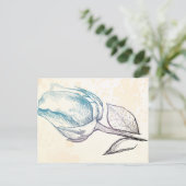 Schets van een roos, briefkaart (Staand voorkant)