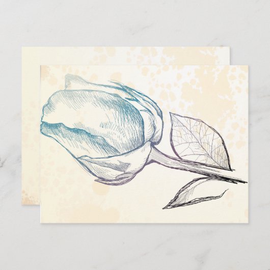 Schets van een roos, briefkaart (Voorkant / Achterkant)