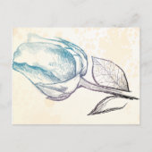 Schets van een roos, briefkaart (Voorkant)