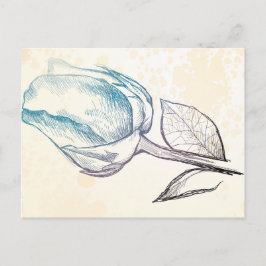 Schets van een roos, briefkaart