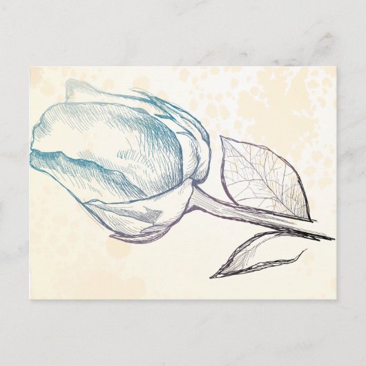 Schets van een roos, briefkaart (Voorkant)