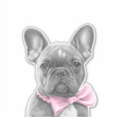 Schets van het luienstaartje met roze boog sticker (Voorkant)