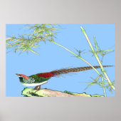 Schets van het staande poster 7 (Voorkant)