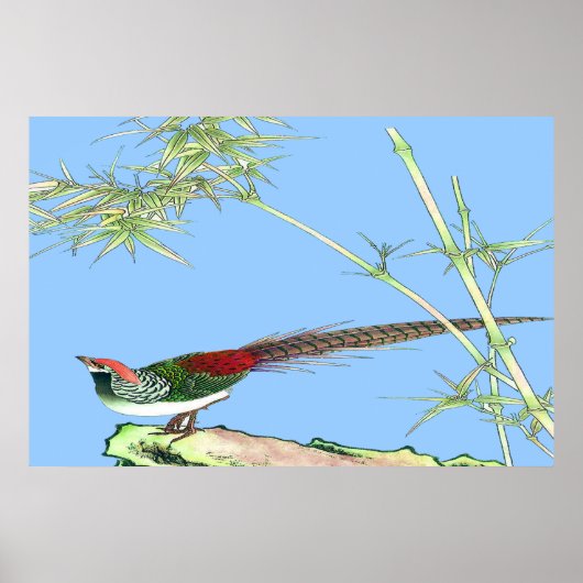 Schets van het staande poster 7 (Voorkant)