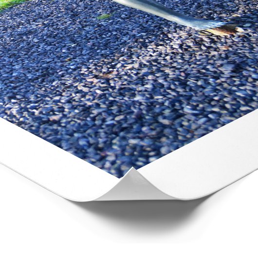 Schets van kinderen die spelen poster (Hoek)