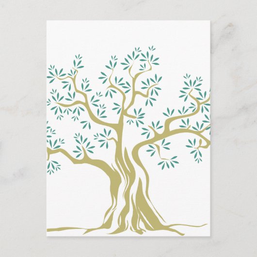 Schets van olijfbomen briefkaart (Voorkant)