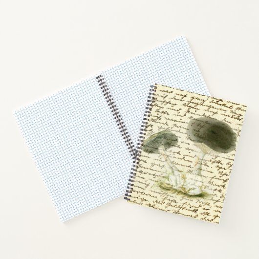 Schets van paddenstoelen vervaafde tekst, verstroo notitieboek (Binnen)