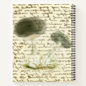 Schets van paddenstoelen vervaafde tekst, verstroo notitieboek (Achterkant)