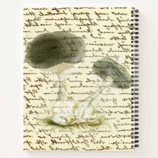 Schets van paddenstoelen vervaafde tekst, verstroo notitieboek (Achterkant)