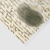 Schets van paddenstoelen vervaafde tekst, verstroo tissuepapier (Detail)