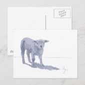 Schets van pasgeboren lamspotlood briefkaart (Voorkant / Achterkant)