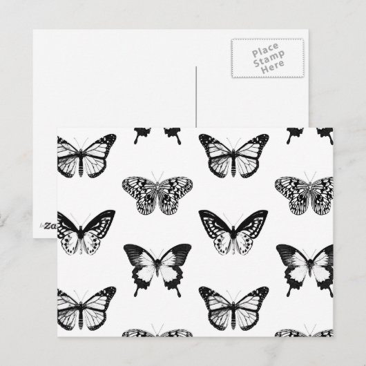 Schets van vlinder, zwart-wit briefkaart (Voorkant / Achterkant)