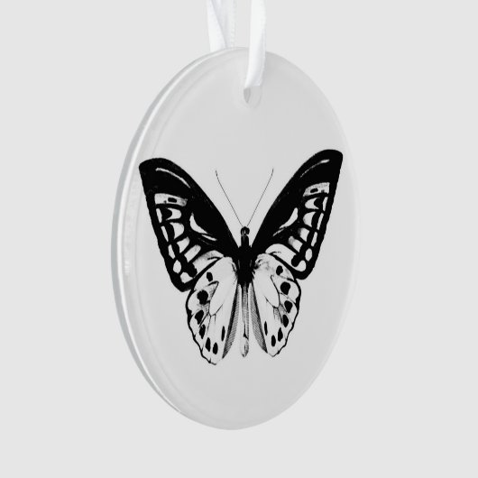 Schets van vlinder, zwart-wit ornament (voorkant)