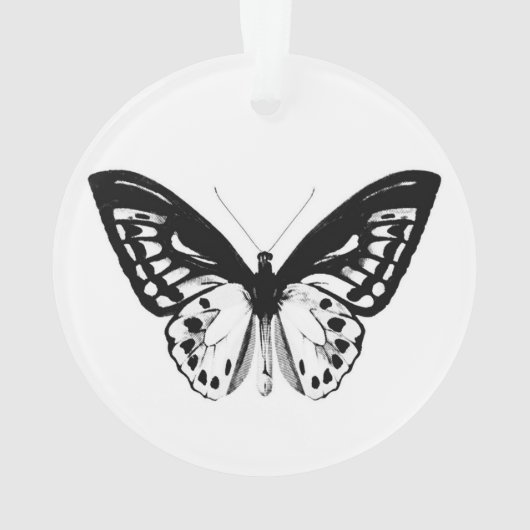 Schets van vlinder, zwart-wit ornament (achterkant)