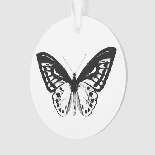 Schets van vlinder, zwart-wit ornament (voorkant)