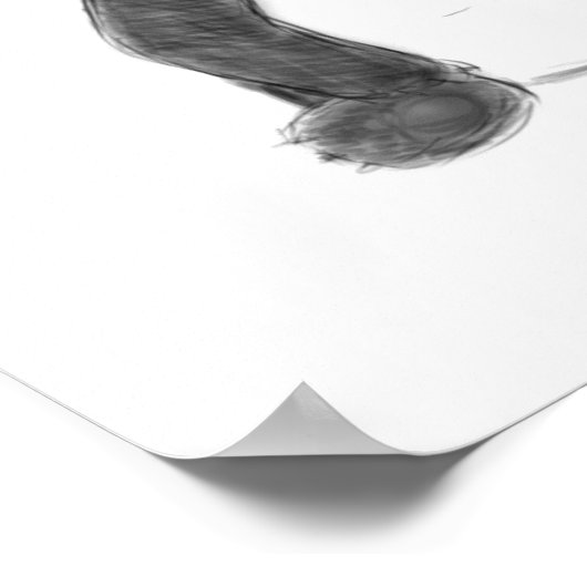 Schets van zwarte en witte panda poster (Hoek)