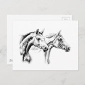 Schets voor paardentrekken, handgemaakt briefkaart (Voorkant / Achterkant)