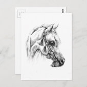 Schets voor paardentrekken, handgemaakt briefkaart (Voorkant / Achterkant)