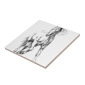 Schets voor paardentrekken, handgemaakt tegeltje (Zijkant)