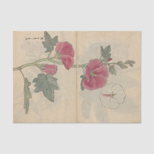 Schetsboek Pl. 096 door Ariyoshi Kondo Tissuepapier (Voorkant)