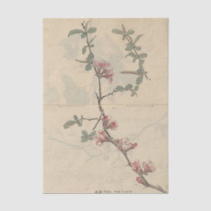 Schetsboek Pl. 096 door Ariyoshi Kondo Tissuepapier