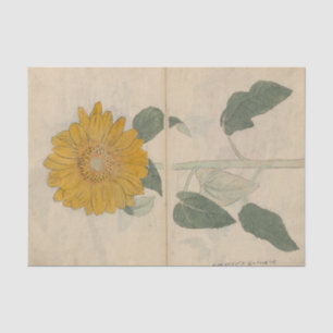 Schetsboek Pl. 103 door Ariyoshi Kondo Tissuepapier